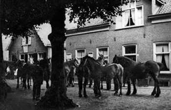 paardenmarkt